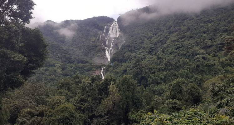 Wasserfall in einem dichten Wald mit Nebel und Wolken.