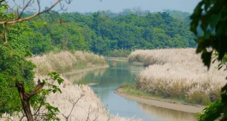 Serene river winding through a grassy landscape with distant trees.