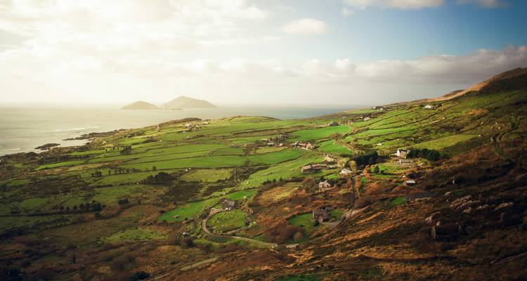 Les vastes champs en patchwork verdoyant et la côte accidentée baignés dans la lumière douce de l'après-midi sur le Ring of Kerry.