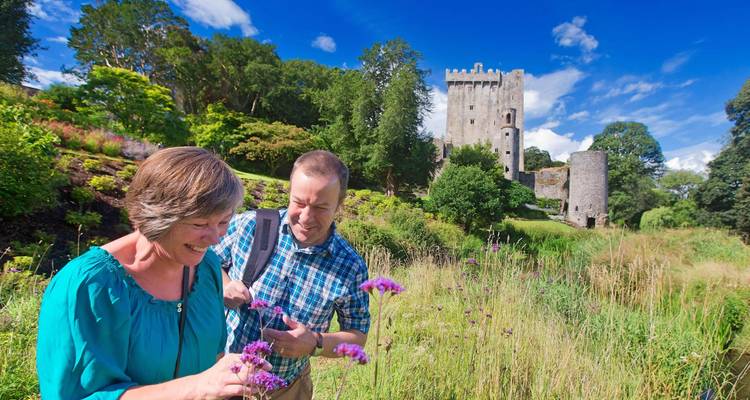 Couple de personnes d'âge mûr examinant des fleurs sauvages devant la tour historique du château de Blarney par une journée ensoleillée