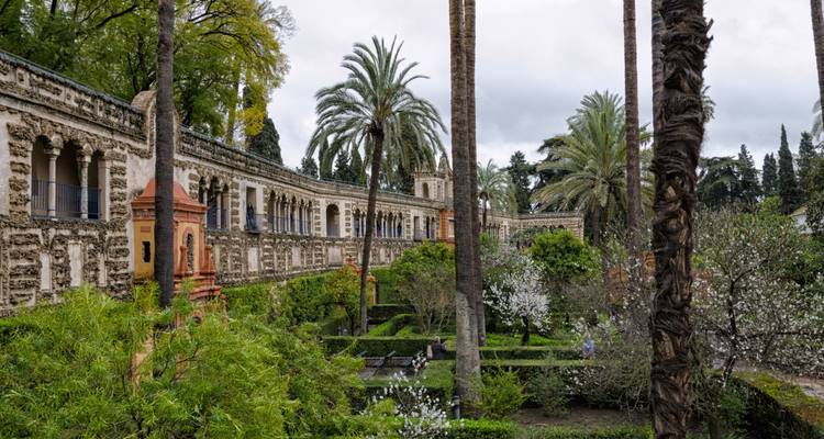 Weelderige tuinen met palmbomen en historische bouwarchitectuur.