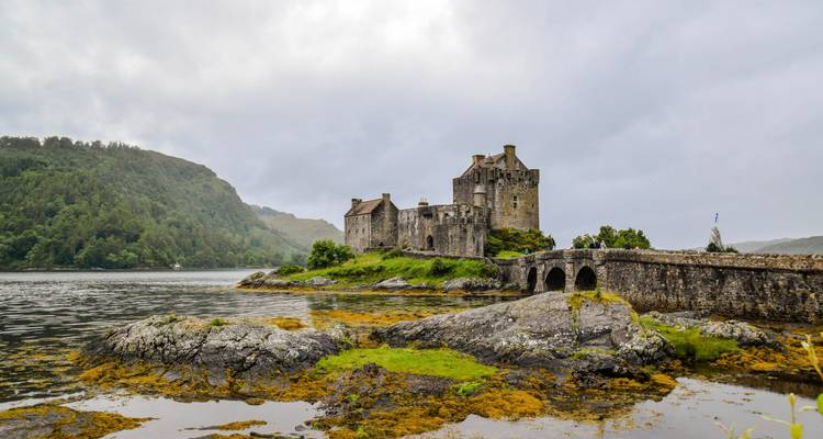 Malerische Aussicht auf ein Schloss am Wasser mit einer Steinbrücke und üppigem Grün.