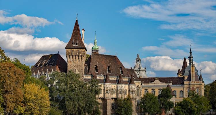 Castillo histórico con arquitectura intrincada.