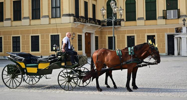 Carruaje tirado por caballos frente a un edificio histórico.