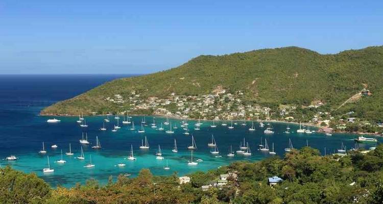 Harbor with many anchored sailboats