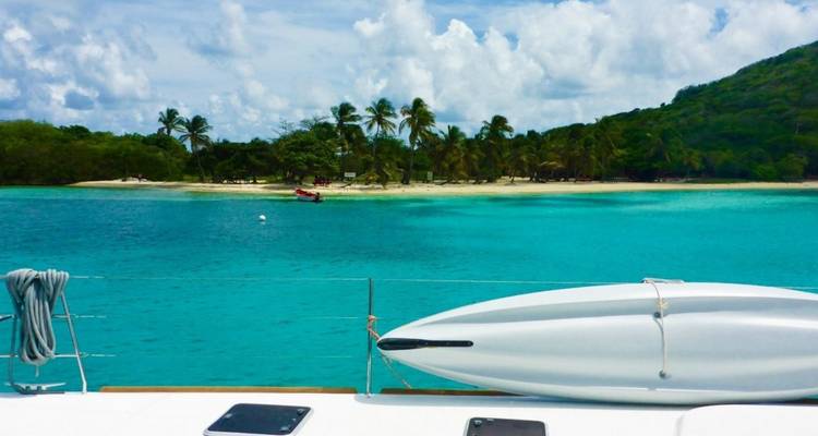 View from a boat looking at an island with palm trees.