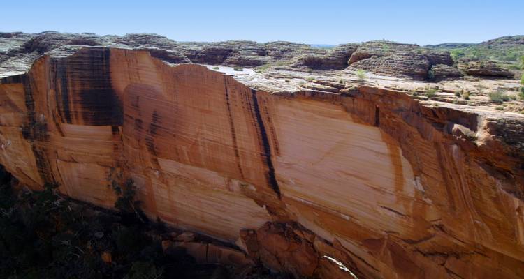 Massive sheer cliff face inside Kings Canyon showing dramatic sediment layers and desert vegetation.