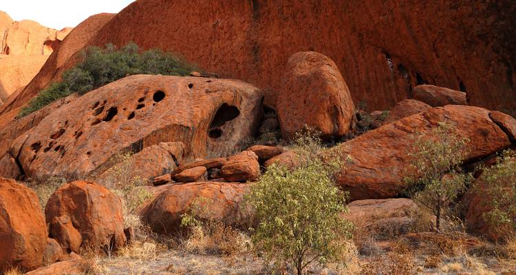 Close-up of weathered red boulders with honeycomb holes at the base of Uluru’s sandstone formation.