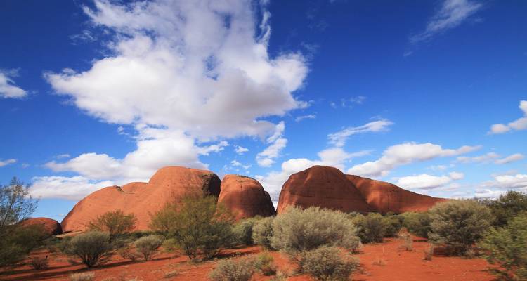 Rounded red domes of Kata Tjuta rise above desert scrub under a bright blue sky with fluffy clouds.