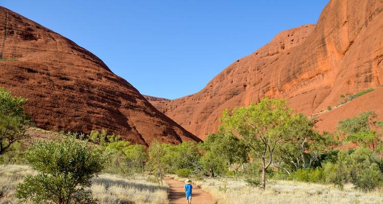 Hiker walks along sandy trail between towering red rock walls in the Valley of the Winds at Kata Tjuta.
