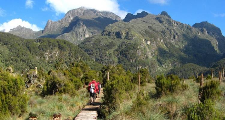 Wanderer auf einem Wanderweg mit Bergen im Hintergrund.