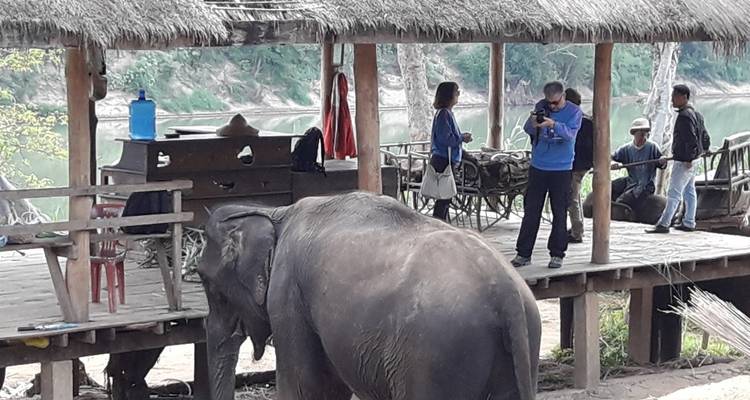 Éléphant avec des touristes sur une plateforme en bois au bord de la rivière.