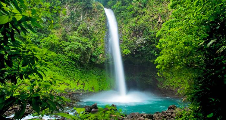 Une puissante cascade se précipite dans un bassin d'eau émeraude entouré d'une luxuriante végétation de jungle aux teintes verdoyantes.