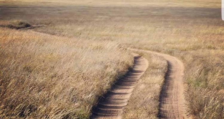 Onverharde pad door graslandschap.