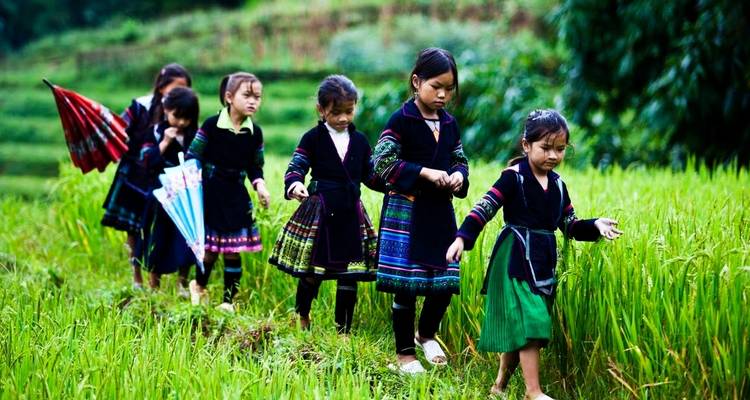 Kinder in traditioneller Kleidung gehen mit Regenschirmen durch Reisfelder.