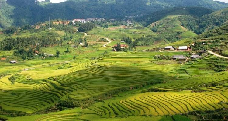 Luftaufnahme von Terrassenfeldern und Bergen.