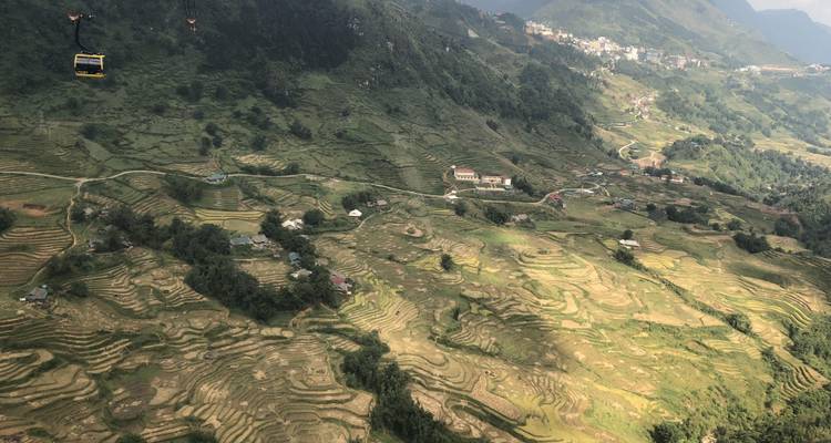 Luftaufnahme von Terrassenfeldern und einer Seilbahn.