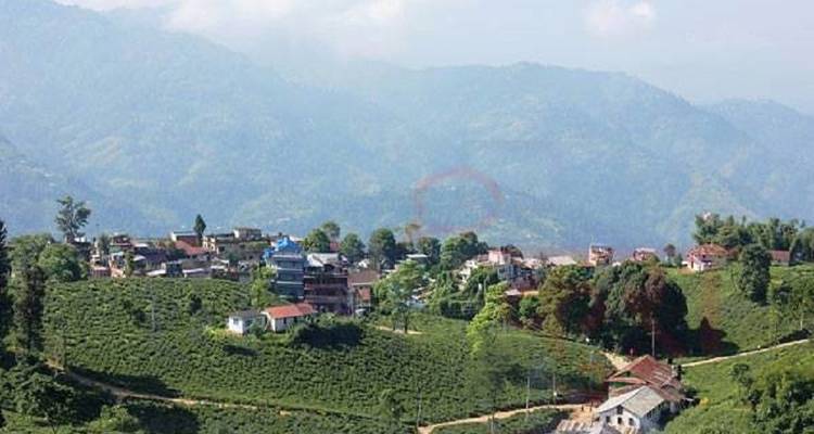 Hillside village with scattered homes under a cloudy sky.