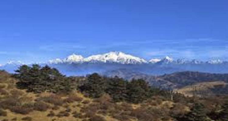 Entfernte Bergkette mit Bäumen im Vordergrund.