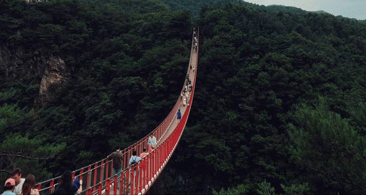 Pont suspendu dans une forêt avec des touristes qui traversent.