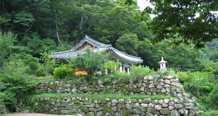 Templo coreano tradicional rodeado de exuberante vegetación verde.