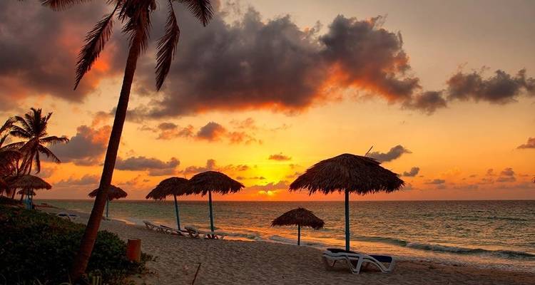 Coucher de soleil sur une plage avec des palmiers et des parasols de plage.