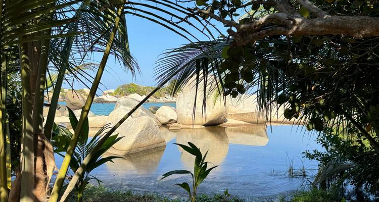 Vista a través de las hojas de palmera de los lisos bloques de granito reflejándose en el tranquilo agua costera.
