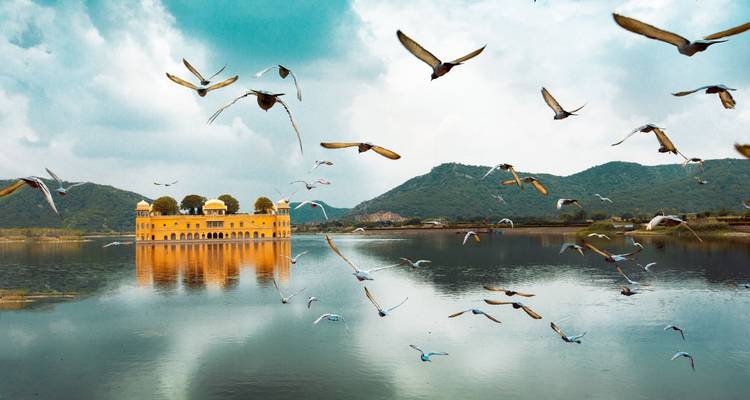 El pintoresco palacio Jal Mahal reflejado en las aguas tranquilas del lago mientras los pájaros vuelan sobre nuestras cabezas.