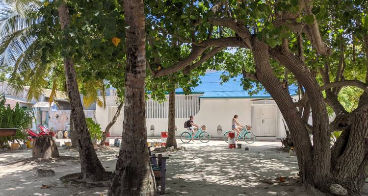 Menschen, die auf einem von Bäumen beschatteten Weg Fahrrad fahren.