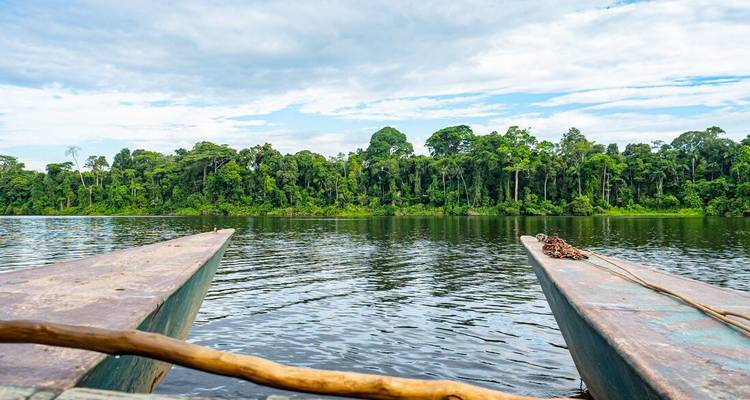 Vista desde una canoa de madera deslizándose por una laguna tranquila del Amazonas hacia la densa selva tropical verde.