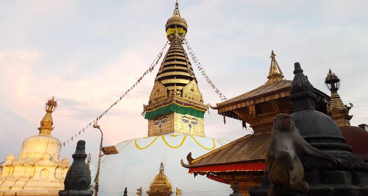 Un mono vigilante se sienta frente a los ojos del Stupa Swayambhunath que brilla con la suave luz del atardecer.