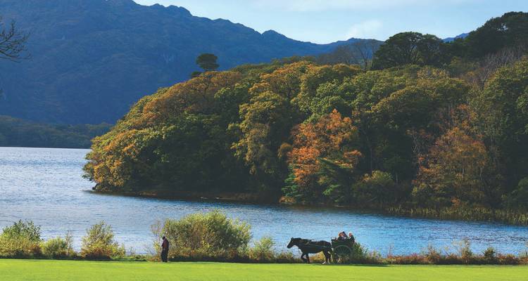 Voiture de promenade tirée par des chevaux passant devant des arbres d'automne le long d'un lac dans le parc national de Killarney