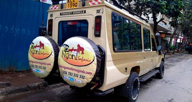 Die Rückseite eines Touristen-Safari-Fahrzeugs mit Logos und Kontaktinformationen.