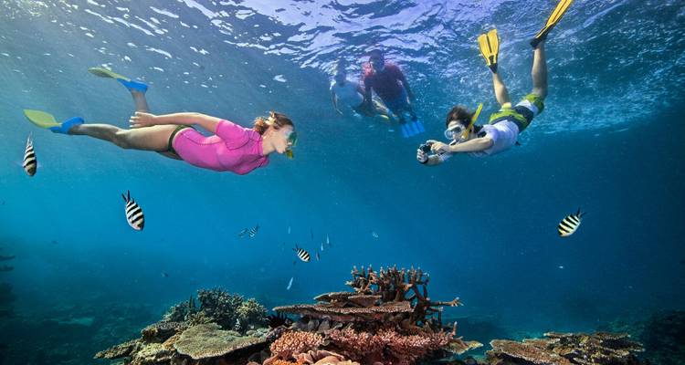 Snorkelaars die het Great Barrier Reef verkennen.