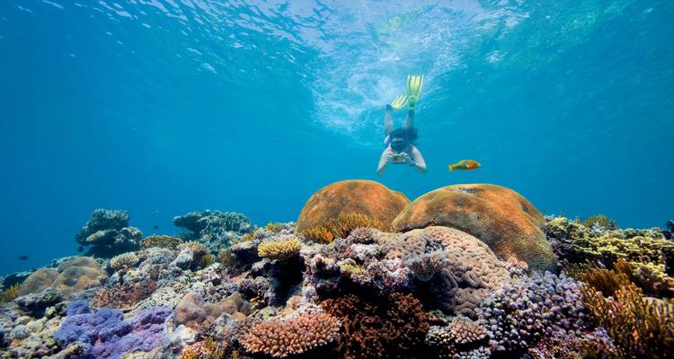 Onderwaterzicht van een snorkelaar boven koraalriffen.
