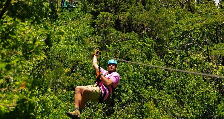 Person, die das Zip-Lining durch einen üppigen Wald genießt.