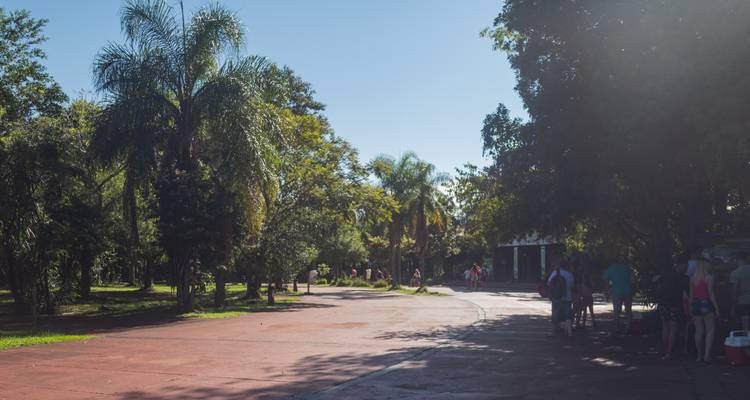 A park area with people and palm trees.