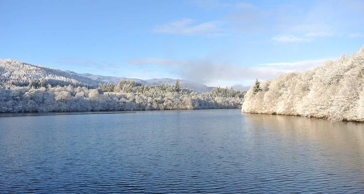 Une forêt saupoudrée de neige entoure un lac tranquille sous un ciel d'hiver d'un bleu éclatant.