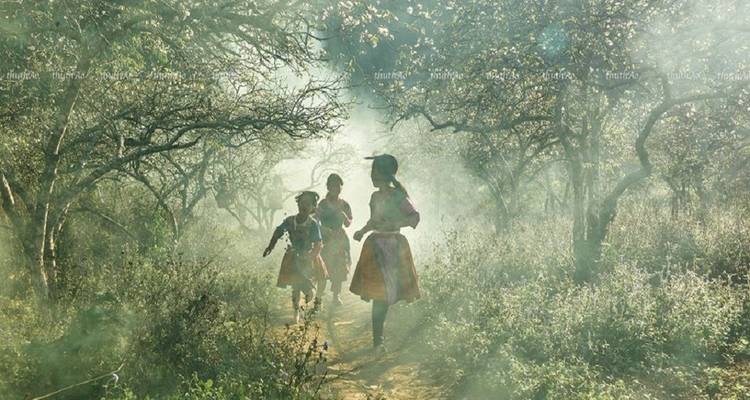 Kinder laufen auf einem Weg, der von Bäumen in einer nebligen Atmosphäre umgeben ist.