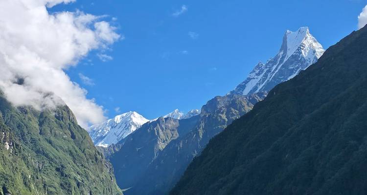 Clear blue sky framing snowy Himalayan peaks above deep green valleys