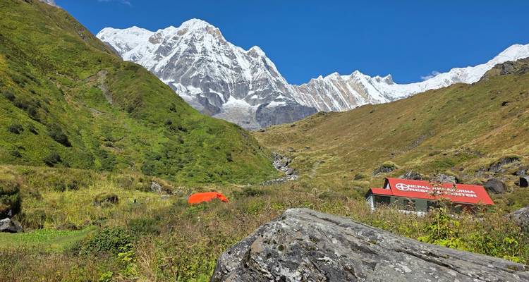 Green valley campsite with bright red tents beneath towering snow-covered Annapurna range