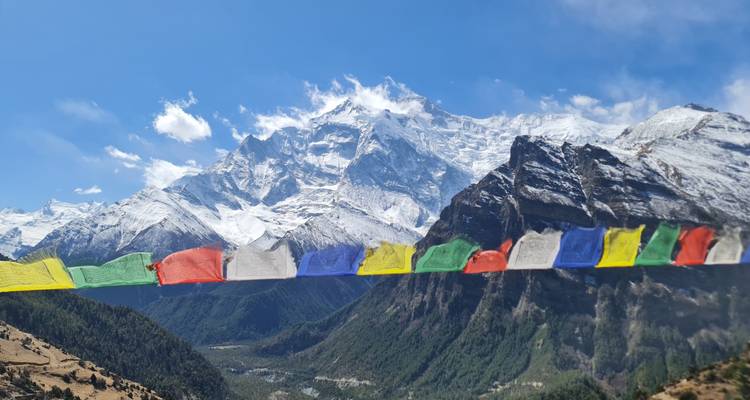 Bunte Gebetsfahnen flattern vor dem massiven, schneebedeckten Annapurna-Gebirgsmassiv unter einem strahlend blauen Himmel.