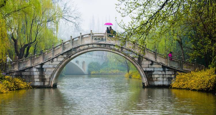 Un pont en arc de pierre enjambe un canal tranquille bordé de saules pleureurs tandis que des piétons avec un parapluie rose le traversent.