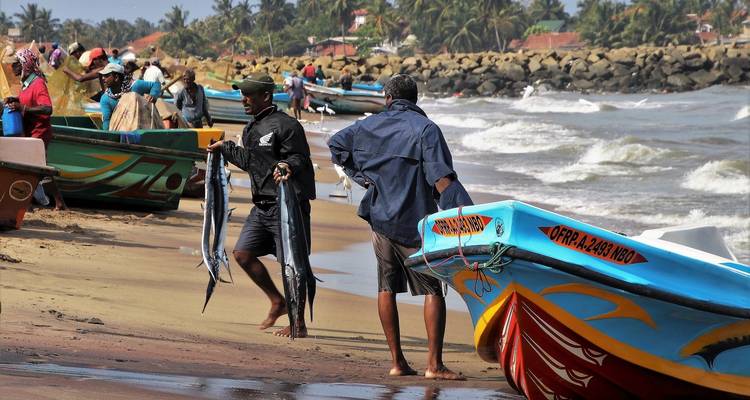 Des pêcheurs avec des bateaux colorés sur une plage de sable.