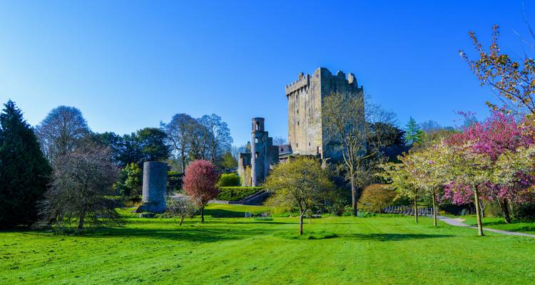 Château de Blarney entouré d'une végétation luxuriante sous un ciel bleu dégagé.