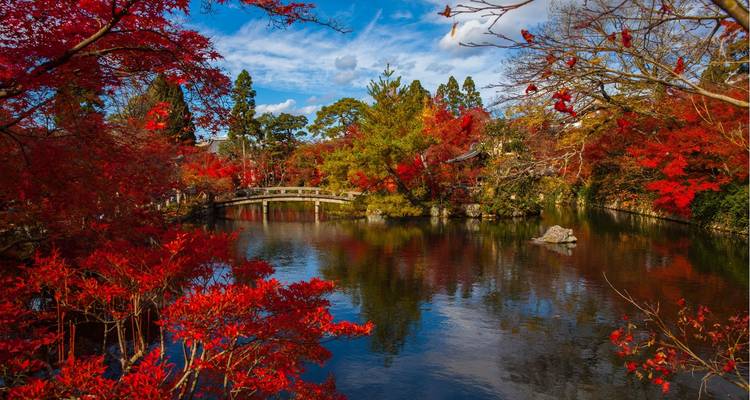 Jardin japonais avec un feuillage rouge vibrant et un étang serein.