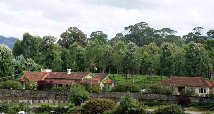 A countryside view with houses and trees.