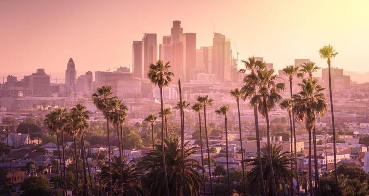 Un paysage urbain de Los Angeles avec des palmiers au premier plan et des bâtiments en arrière-plan au coucher du soleil.