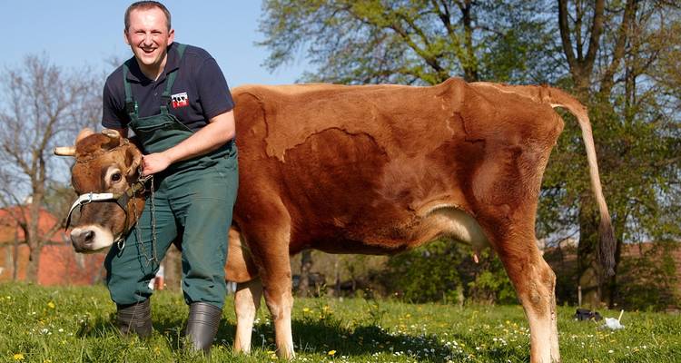 Mann lächelt neben einer braunen Kuh auf einer Weide.