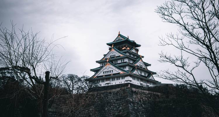 Majestic white-walled castle with teal roofs rises above leafless winter trees and stone ramparts.